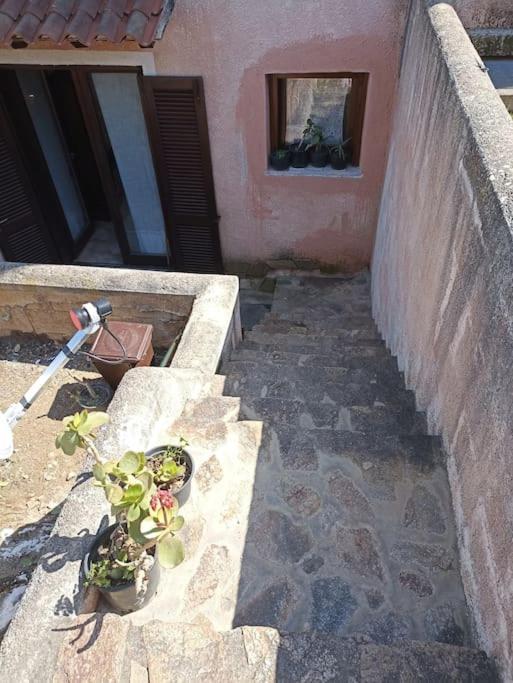 شقة La Dolce Dimora أولبيا المظهر الخارجي الصورة